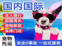 吉安井冈山机场托运国际宠物托运 【国